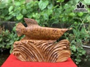 Tượng Cá Kim Long Gỗ Nu Ngọc Am Cao 29 Ngang 40 Sâu 11 (cm)