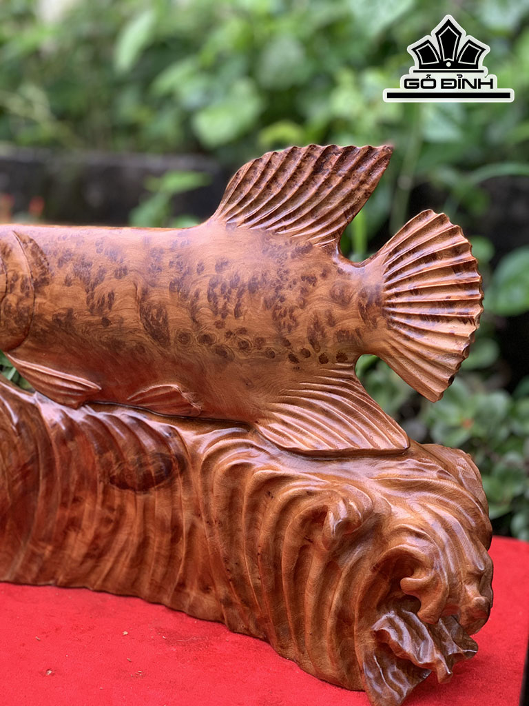 Tượng Cá Kim Long Gỗ Nu Ngọc Am Cao 29 Ngang 40 Sâu 11 (cm)