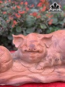 Tượng Heo Phong Thủy Gỗ Hương Cao 19 Ngang 48 Sâu 24 (cm)