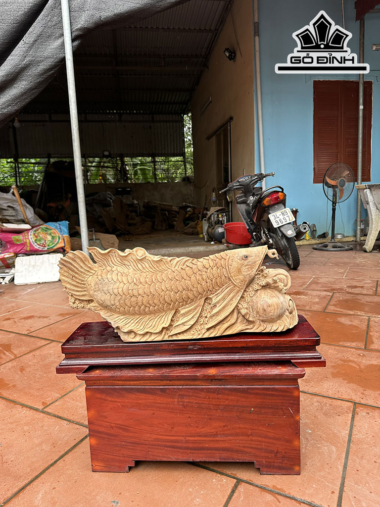 Tượng Cá Kim Long Gỗ Ngọc Am Cao 26 Ngang 68 Sâu15 (cm)
