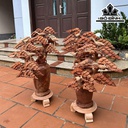 Bình Tùng Gỗ Hương Cao 85 Ngang 58 Sâu 36 (cm)