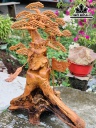 Tượng Quan Công Gỗ Hương Cao 111 Ngang 80 Sâu 35 (cm)