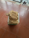 Tượng Cóc Ngậm Tiền Gỗ Ngọc Am Cao 26 Ngang 40 Sâu 28 (cm)