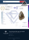 Rồng Đá Thạch Anh Tóc Vàng Cao 10,1 Ngang 7,1 Sâu 2,4 (cm) 195,33gr