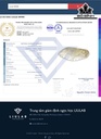 Tượng Phật Bà Quan Âm Đá Thạch Anh Tóc Vàng Cao 116,74 Ngang 50,82 Sâu 15,2 (mm) 506,11cts