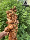 Cầu Như Ý Mai Điểu Gỗ Cẩm Cao 19 Ngang 56 Sâu 15 (cm)