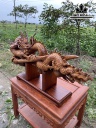 Tượng Nhất Long Gỗ Cẩm Cao 48 Ngang 72 Sâu 13 (cm)