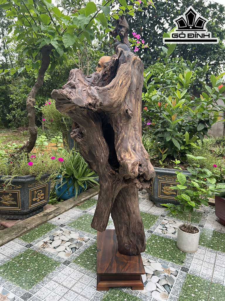 Tượng Đạt Ma Sư Tổ Gỗ Bách Xanh Cao 105 Ngang 51 Sâu 33 (cm)