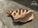 Khay Trà Gỗ Ngọc Am Ngang 58 Cao 34 Sâu 26 (cm)