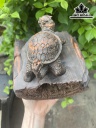 Tượng Long Quy Gỗ Trắc Cao 17 Ngang 16 Sâu 14 (cm)