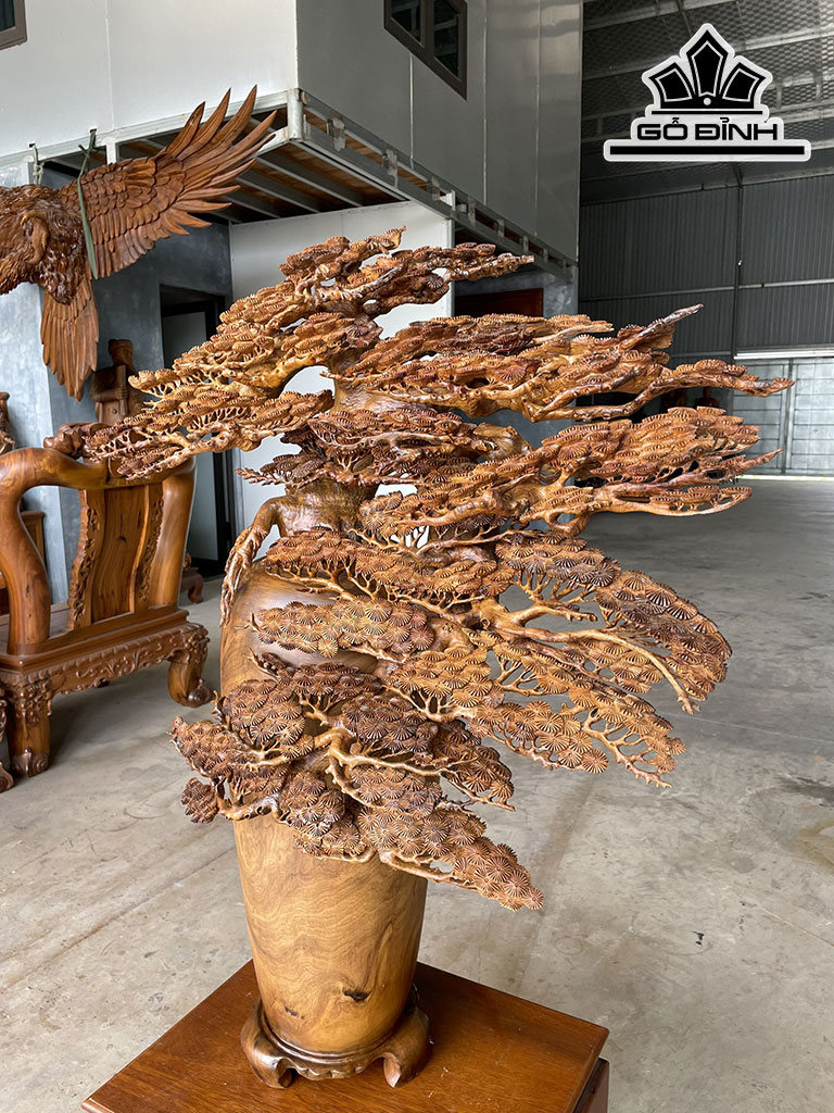 Cây Tùng Bonsai Gỗ Bách Xanh Cao 112 Ngang 82 Sâu 36 (cm)