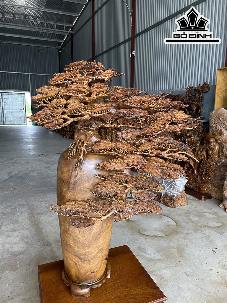 Cây Tùng Bonsai Gỗ Bách Xanh Cao 112 Ngang 82 Sâu 36 (cm)