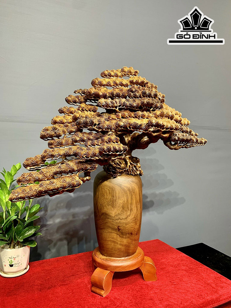 Bình Tùng Gỗ Bách Xanh Cao 75 Ngang 70 Sâu 26 (cm)