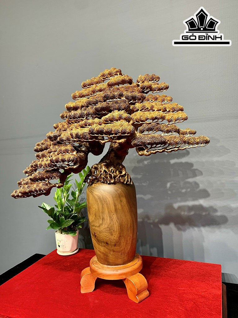 Bình Tùng Gỗ Bách Xanh Cao 75 Ngang 70 Sâu 26 (cm)
