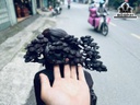 Tượng Gia Cát Lượng Gỗ Trắc Cao 70 Ngang 33 Sâu 27 (cm)