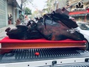 Tượng Vinh Quy Bái Tổ Gỗ Trắc Ngang 130 Cao 53 Sâu 26 (cm)