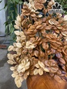 Bình Hoa Gỗ Hương Cao 83 Ngang 52 Sâu 22 (cm)