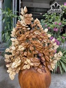 Bình Hoa Gỗ Hương Cao 83 Ngang 52 Sâu 22 (cm)