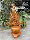 Bình Mai Phú Quý Gỗ Hương Cao 80 Ngang 40 Sâu 28 (cm)