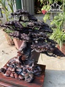 Tượng Dê Phong Thủy Gỗ Hương Cao 42 Ngang 43 Sâu 23 (cm)