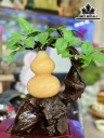 Cây Hồ Lô Đá Ngọc Hoàng Long Cao 19 Ngang 30 (cm) 2,2kg