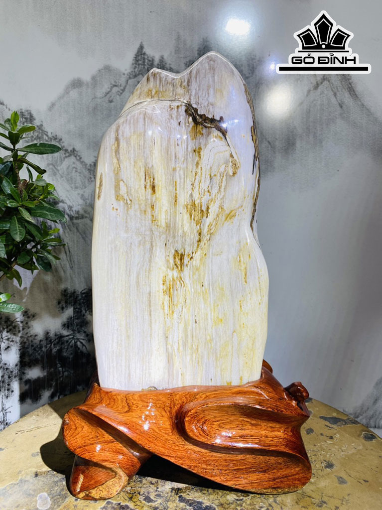 Tác Phẩm Gỗ Hóa Thạch Cao 33 Ngang 18 (cm) 4,4kg