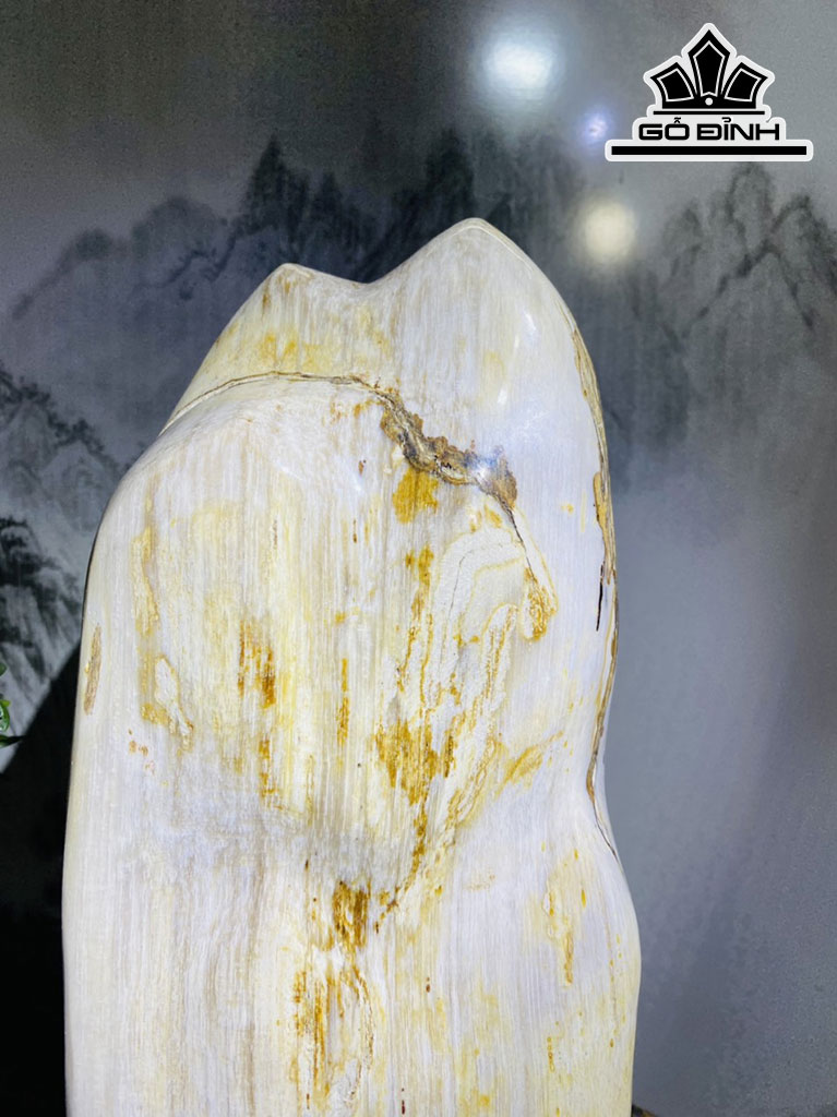 Tác Phẩm Gỗ Hóa Thạch Cao 33 Ngang 18 (cm) 4,4kg