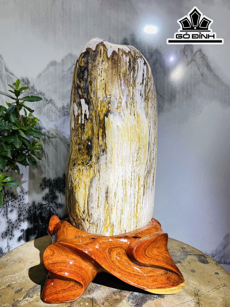 Tác Phẩm Gỗ Hóa Thạch Cao 33 Ngang 18 (cm) 4,4kg