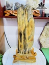 Tác Phẩm Gỗ Hóa Thạch Cao 46 Ngang 13 (cm) 8kg