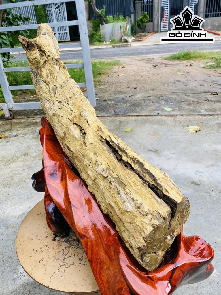 Tác Phẩm Gỗ Hóa Thạch Cao 48 Ngang 75 (cm) 22,5kg