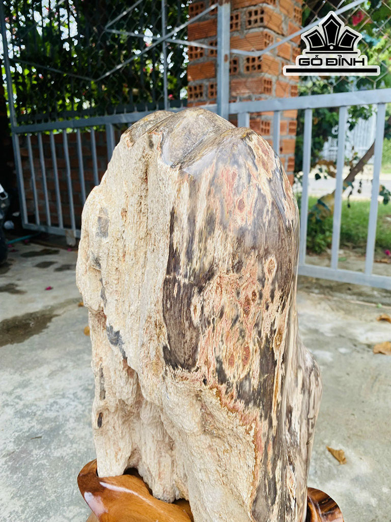 Tác Phẩm Gỗ Hóa Thạch Cao 56 Ngang 33 (cm) 35,3kg