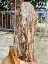 Tác Phẩm Gỗ Hóa Thạch Cao 56 Ngang 33 (cm) 35,3kg