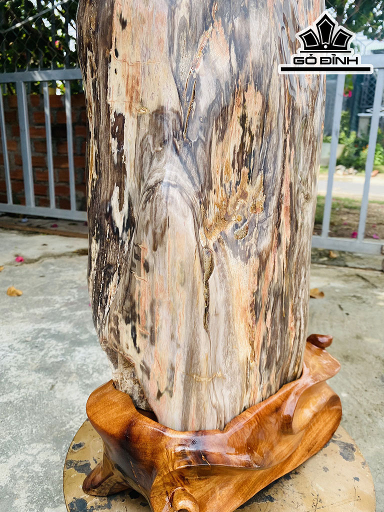 Tác Phẩm Gỗ Hóa Thạch Cao 56 Ngang 33 (cm) 35,3kg