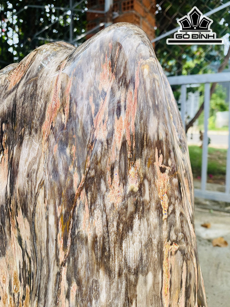 Tác Phẩm Gỗ Hóa Thạch Cao 56 Ngang 33 (cm) 35,3kg