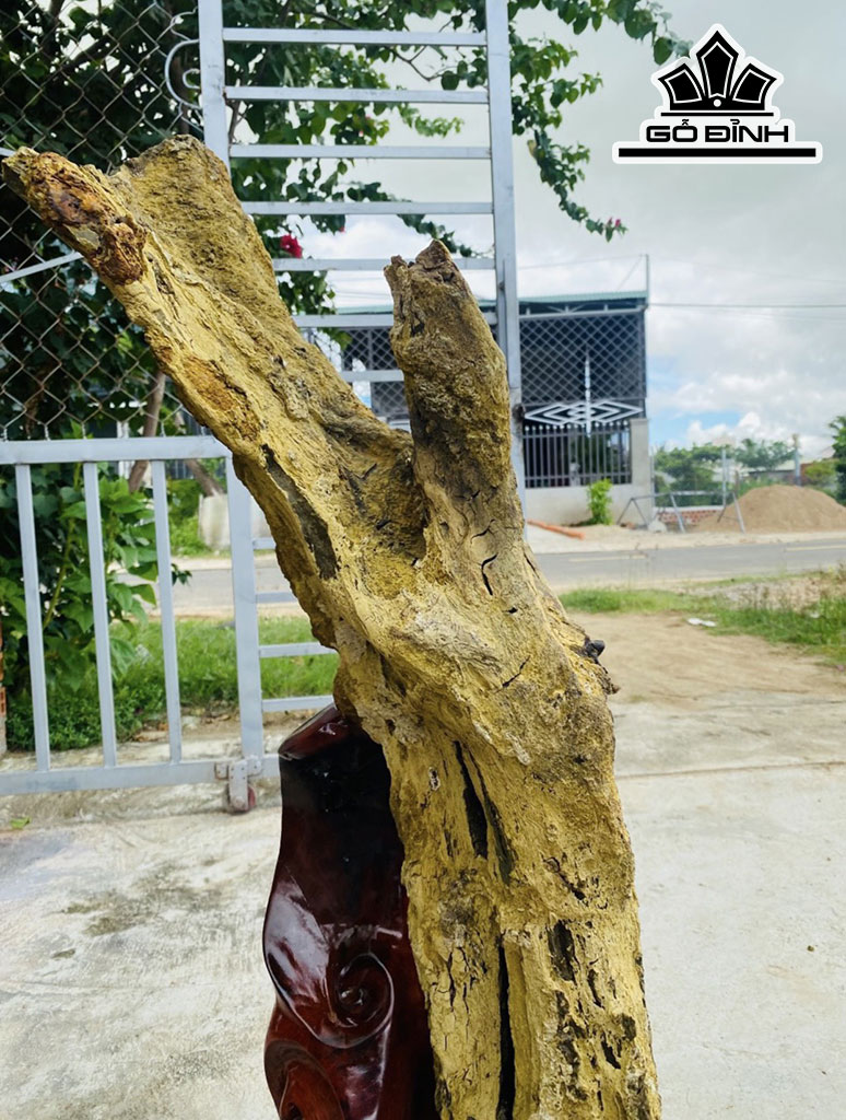 Tác Phẩm Gỗ Hóa Thạch Cao 85 Ngang 60 (cm) 24,1kg