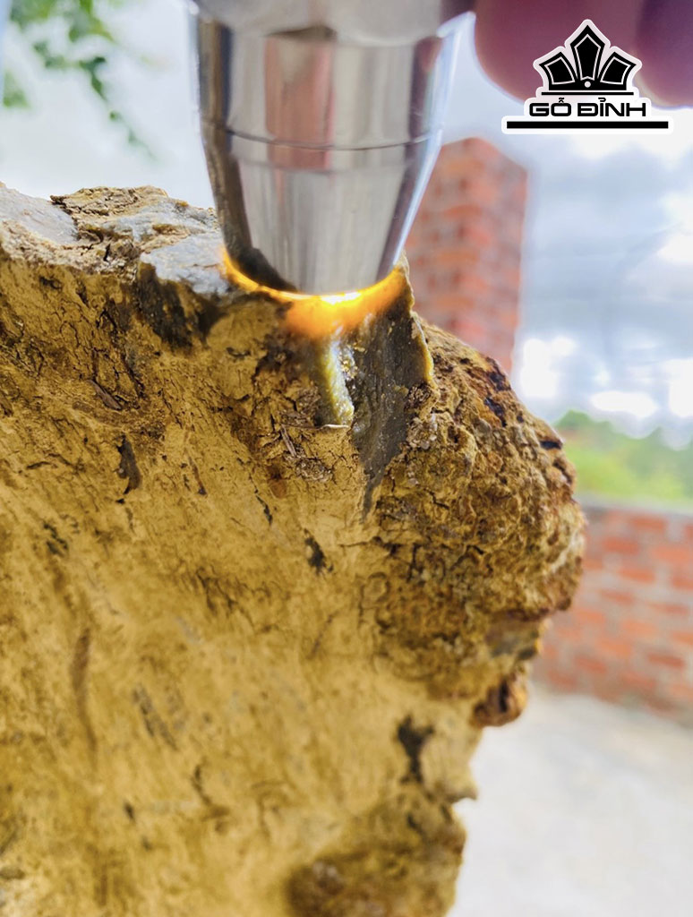 Tác Phẩm Gỗ Hóa Thạch Cao 85 Ngang 60 (cm) 24,1kg