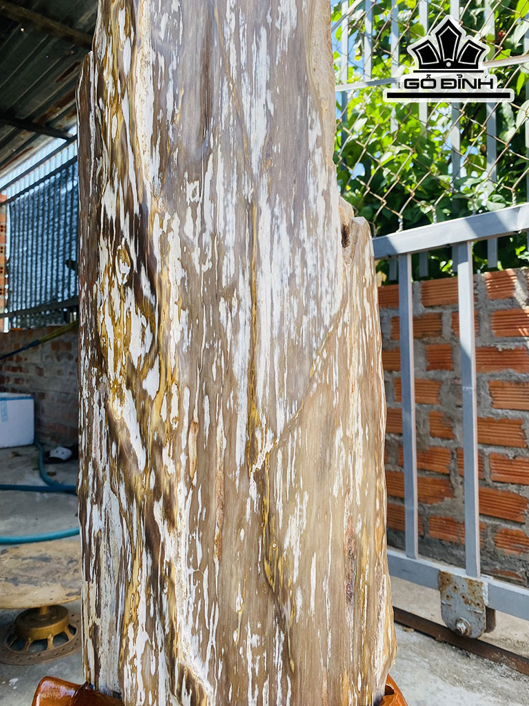 Tác Phẩm Gỗ Hóa Thạch Cao 115 Ngang 33 (cm) 65kg