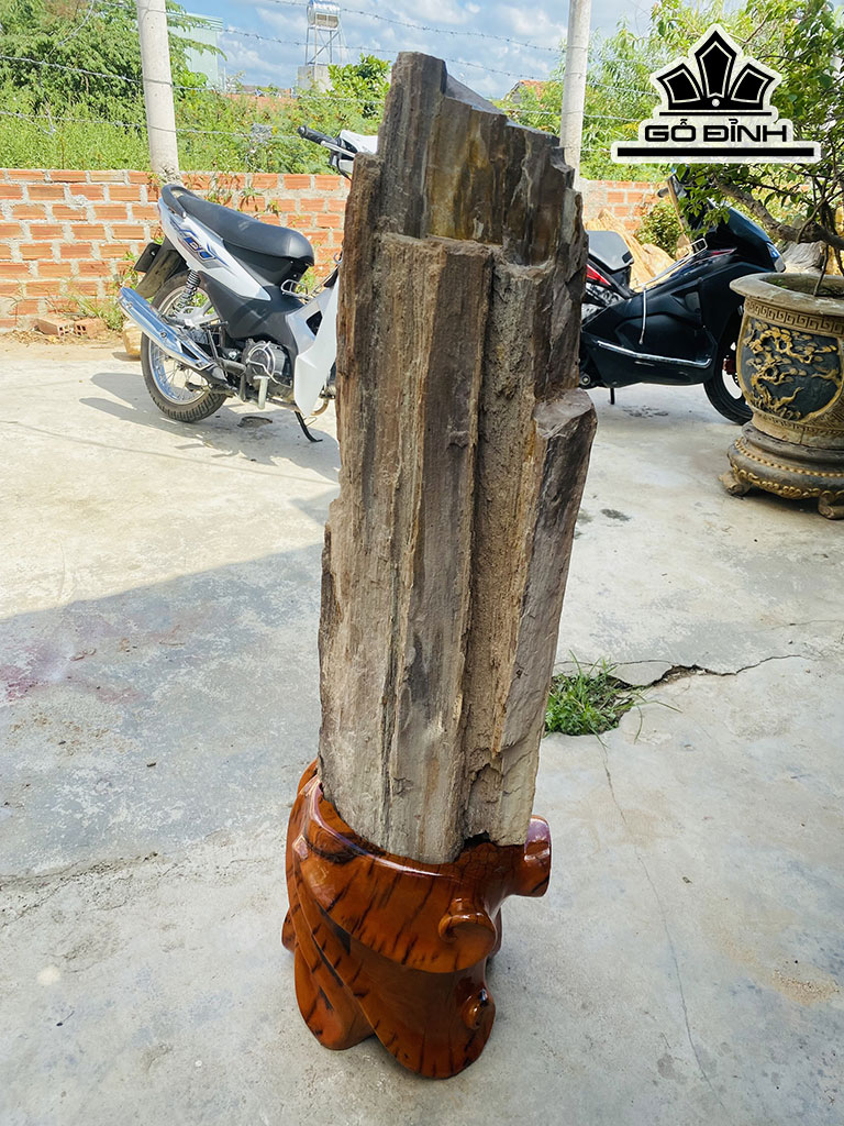 Tác Phẩm Gỗ Hóa Thạch Cao 115 Ngang 33 (cm) 65kg
