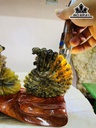Tác Phẩm Ốc Anh Vũ Hóa Ngọc Cao 17 Ngang 22 (cm) 1,2kg