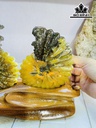 Tác Phẩm Ốc Anh Vũ Hóa Ngọc Cao 18 Ngang 23 (cm) 1,7kg