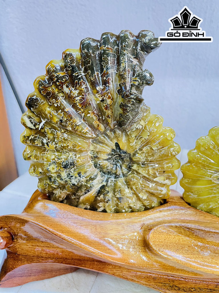 Tác Phẩm Ốc Anh Vũ Hóa Ngọc Cao 18 Ngang 23 (cm) 1,7kg