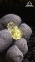 Tỳ Hưu Đá Thạch Anh Tóc Vàng Cao 20,4 Ngang 12 Sâu 8,5 (mm) 3,6gr