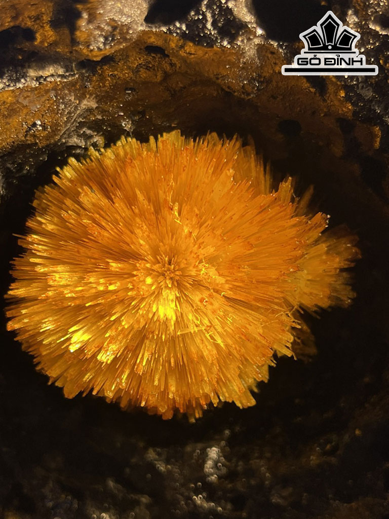 Bông Hoa Ưu Đàm Đá Trầm Tích Cao 41 (cm) 10kg