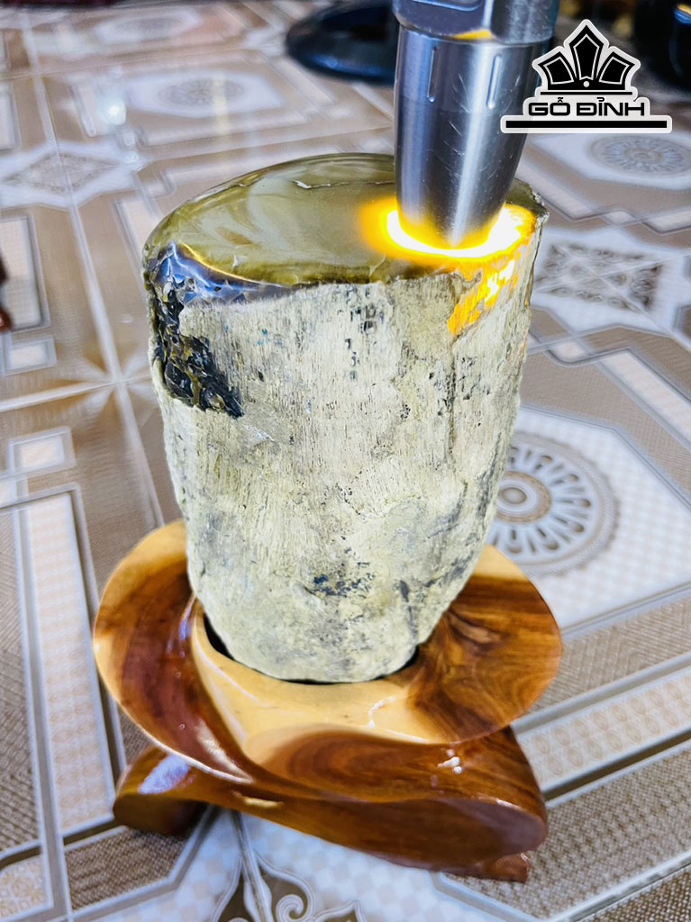 Hốc Gỗ Hóa Thạch Cao 24 (cm) 3,1kg