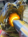 Tác Phẩm Gỗ Hóa Thạch Cao 26 (cm) 2,1kg