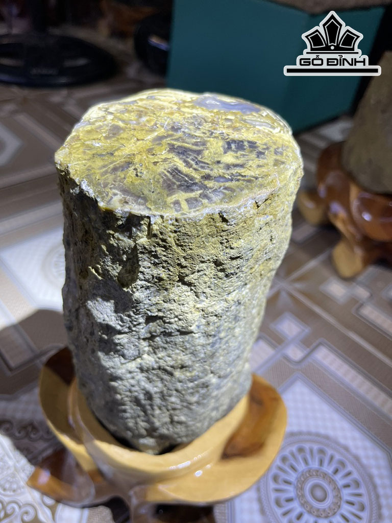 Tác Phẩm Gỗ Hóa Thạch Cao 34 (cm) 6kg