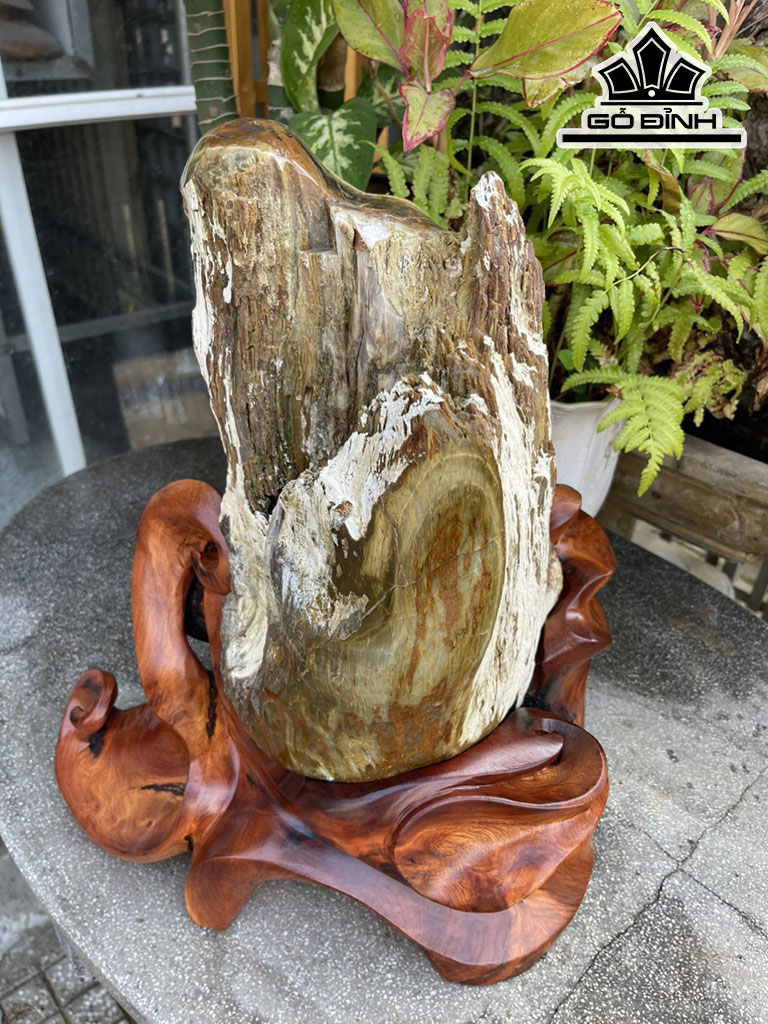 Tác Phẩm Gỗ Hóa Thạch Cao 46 (cm) 22kg