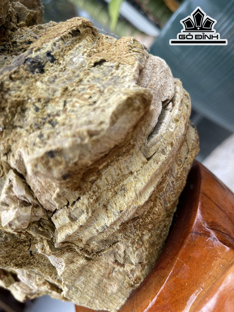 Tác Phẩm Gỗ Hóa Thạch Cao 58 (cm) 13kg