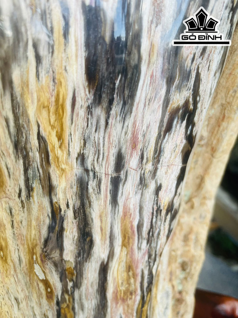 Tác Phẩm Gỗ Hóa Thạch Cao 93 (cm) 40kg