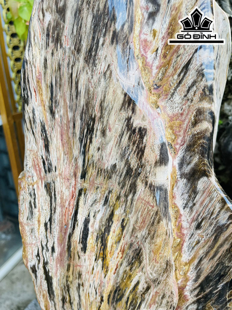 Tác Phẩm Gỗ Hóa Thạch Cao 93 (cm) 40kg